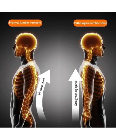 Tiiffy XL Lumbar Spine Belt - Removable Self-Warming Magnetic Therapy Support for Back Pain Relief - Buy Online on GoSupps.com