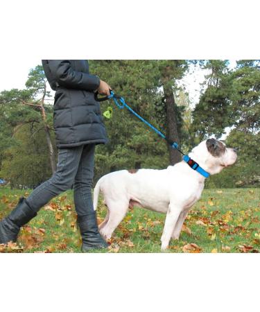 Taglory Reflective Dog Leash - Comfortable Padded Handle Soft Nylon for Large Dogs 150x1.2cm - Perfect for Training & Walks - Blue - Buy Online on GoSupps.com