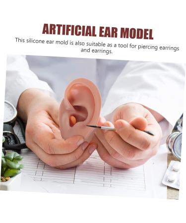 Silicone Human Ear Model for Massage, Piercing, and Simulation | Ear Display Body Kit | Healeved 6.5x3.5cm - Buy Online on GoSupps.com