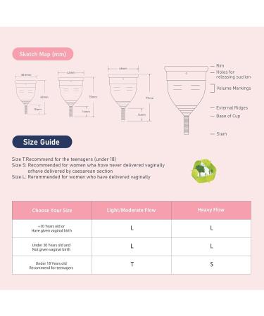 Reusable Menstrual Cup Set - Soft Silicone Period Cups for Girls & Women | Eco-Friendly & Comfortable - Purple (3 Pack - Buy Online on GoSupps.com