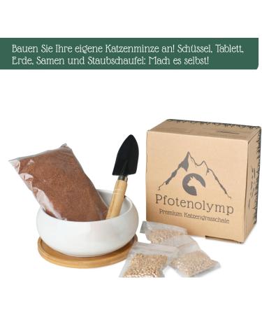 Pfotolymp Cat Grass Bowl Set - Ceramic Bowl Bamboo Coating Coconut Seeds & Tools for Healthy Cat Greens | International Shipping - Buy Online on GoSupps.com