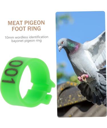 Amosfun 200 Pcs Pigeon Anklet Baby Things Baby Supplies Bird Ring Foot Ring for Pigeon to Open Xuan Feng 1.3X1.3CMx2pcs Greenx2pcs - Buy Online on GoSupps.com