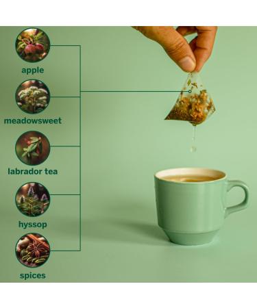 Floem - Apple Meadowsweet Cinnamon Ginger & Spices Tea Bags with Labrador Tea Leaves - Premium Decaf Herbal Tea Blend Apple Meadowsweet Spices & Labrador Leaves - Buy Online on GoSupps.com