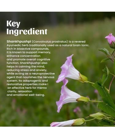 Neel Ayurvedics Shankhpushpi Shankhini Powder 300 GM - Buy Online on GoSupps.com