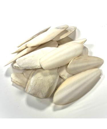 * Special* 100g Premium Quality Small Cuttlefish Bone Suitable for Cage Birds Reptiles etc. Cuttlefish 100 g (Pack of 1)