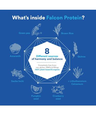 Birdman Falcon Protein | Vegan Non Whey Protein Sports Keto Friendly Kosher Gluten Free Plant Based Non-Dairy Chocolate Flavor - 21 Servings - 1.38 lb - Buy Online on GoSupps.com