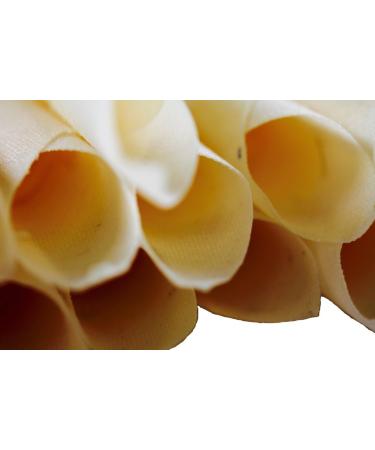20 Conical Ear Candles with Filters - Two-Ear Candles Set | Video Instructions Included | Best for Ear Wax Removal - Buy Online on GoSupps.com