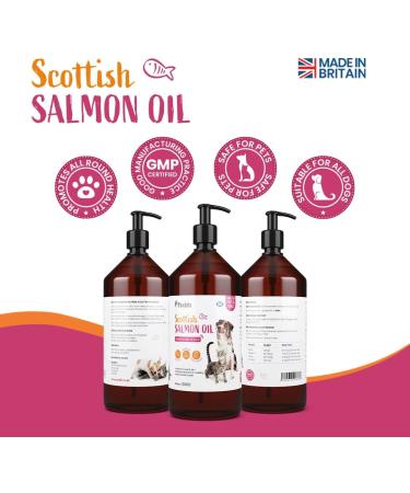 Pawbits 1 Litre Scottish Salmon Oil For Cats & Dogs - Natural Omega 3+6+9 Healthy Coat & Immune System Fish Oil 1 l (Pack of 1) - Buy Online on GoSupps.com