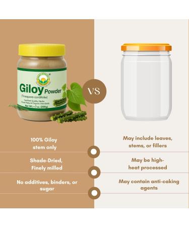 BASIC AYURVEDA Giloy (Guduchi) Powder | 7.05 Oz (200g) | Pure Tinospora Cordifolia Powder for Herbal Tea | Supports Immunity & Energy | No Added Colors & Flavors | Non-GMO Gluten-Free & Vegan - Buy Online on GoSupps.com