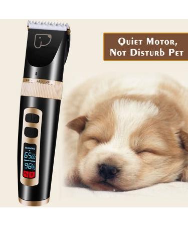 Kiizon Rechargeable Cordless Dog Grooming Clippers 3-Speed Kit for Cats - LED Screen, Intelligent Protection - Buy Online on GoSupps.com