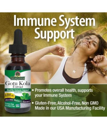 Natural's Answer GotuKola sans gluten sans alcoohol 30 ml - Buy Online on GoSupps.com