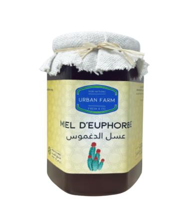Daghmous (Euphorbia) honey from Morocco 100% pure and natural, harvested in Morocco, authentic, tasty and intense - Unheated: crystallization is therefore a natural process, a guarantee of quality ;))))
