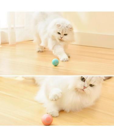 Wloom Power Ball 2.0 Cat Toy Aiveys Cat Ball Aiveys Smart Ball Cat Zombie Balls for Cats Playtime Gertar Cat Toy (Blue) - Buy Online on GoSupps.com