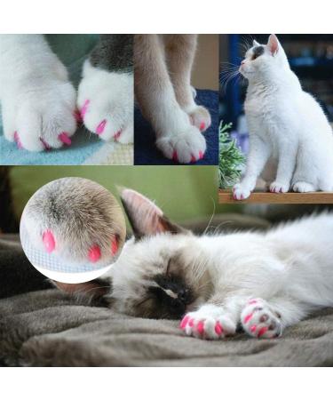 Seminismar 40pcs Cat Nail Covers - Soft Claw Protector & Safe Anti-Scratch Paw Caps for Cats & Dogs (Size M) - Buy Online on GoSupps.com