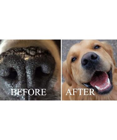 100% Natural Dog Nose and Paw Balm - A Soothing Nose Balm for Dogs to Heal Dry Crusty and Chapped Noses and Paw balm for Dry and Cracked Paws - Easy to apply Dog Nose and Paw Cream - Buy Online on GoSupps.com