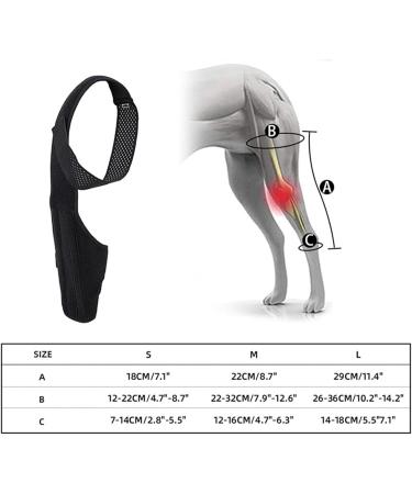 Hip Brace for Dogs Dog Back Leg Brace | Back Leg Hip Support with Metal Strip High Elasticity Breathable Leg Protector for Recovery Period Tmay Black Small - Buy Online on GoSupps.com