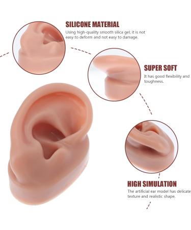 Buy Minkissy Silicone Human Right Ear Model | Fake Ear for Piercing & Acupuncture Simulation | 6.5x3.5 cm - Ideal for Body Part Ads - Buy Online on GoSupps.com