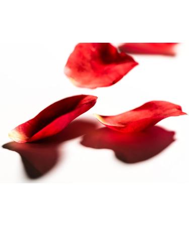 KORRES Natural Wild Rose Vitamin C Sleeping Facial 40ml - Buy Online on GoSupps.com