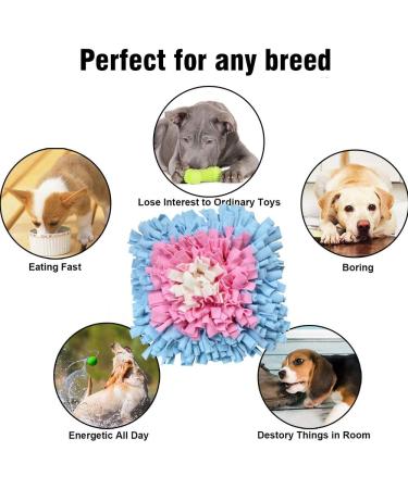 Sniffing Carpet Dog Smell Training Mat | Ieuumler 45x45cm | Blue & Pink | Ideal for Pet Dogs & Cats - Buy Online on GoSupps.com