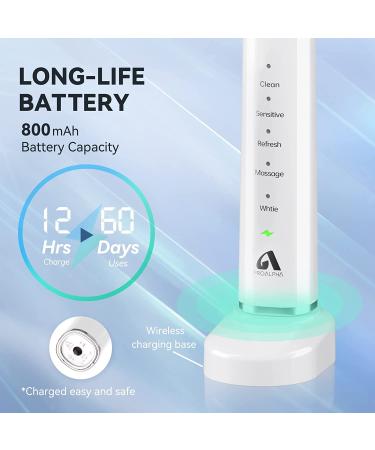 Sonic Electric Toothbrush for Adults | 6 Brush Heads & Travel Case | Fast Charge & Smart Timer | 5 Modes Whitening Toothbrushes by JTF - Buy Online on GoSupps.com