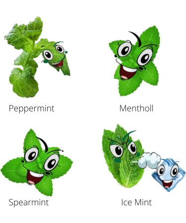 oceanevo Food Flavoring 30ml Highly Concentrated Food Flavour Natural Liquid Essence for Baking Cooking Sweets Cakes Shakes (Skittles) - Buy Online on GoSupps.com