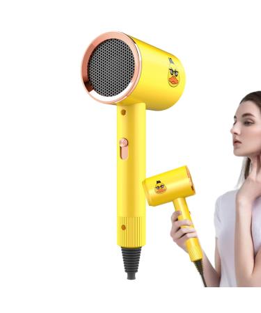 Quiet Hair Dryer - Portable Ionic Hair Dryer | Professional Salon Ions Hair Dryer | Blow Dryer | Ionic Hair Dryer With Diffuser | Cool Hair Dryer Very Suitable For Family Salon And Travel