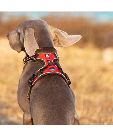 Truelove No Pull Dog Harness - Reflective Adjustable Soft Padded Vest with Handle | TLH56512 XL Grass Green - Ideal for International Shipping - Buy Online on GoSupps.com