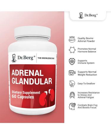 Dr. Berg's Adrenal Glandular - Cortisol Manager for Energy, Focus, Stress and Immunity Support - 60 Capsules - Buy Online on GoSupps.com