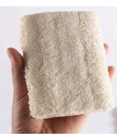 Natural Exfoliating Loofah Back Scrubber Brush - Long Handle Body Bath Shower Brush for Men & Women - Buy Online on GoSupps.com