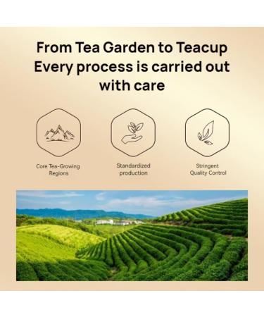 Th Noir Premium Jin Junmei | Ar me Riche Et Saveur Sucr e De Miel | Coffret Cadeau De Th Chinois | Paquet De 125g * 2 - Buy Online on GoSupps.com