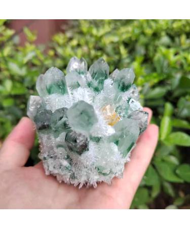 Natural Crystal Rough 1pc Natural Green Phantom Quartz Crystal Cluster Yellow Citrine Stone Ornaments 300G-900G for (Color : 1pc570g-640g Size : 1PC) 1PC 1pc570g-640g - Buy Online on GoSupps.com