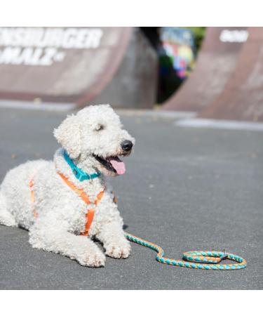 Trixie Dog Leash Cavo - Short Control Leash for Small to Medium Dogs 1m 12mm Forest Green/Apple | Perfect for All Breeds - Buy Online on GoSupps.com