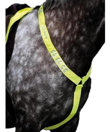 Equi-Flector Shires Breastplate - Pink: Pony/Cob - Buy Online on GoSupps.com
