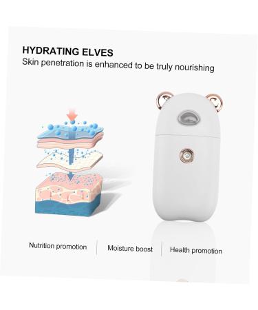 Beavorty 3 Pcs Beauty Humidifier Steamer for Facial Nano Steamer Face Sprayer Handheld Hydrating Instrument - Buy Online on GoSupps.com