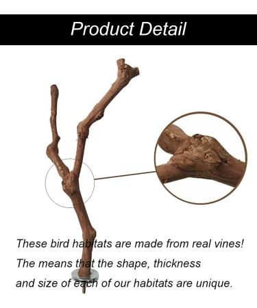 Natural Wood Bird Cage Platforms - Ockyunoo 2 Piece Set | Perfect Bird Seat Rods & Bubble Rods for Nymphensittich - Buy Online on GoSupps.com