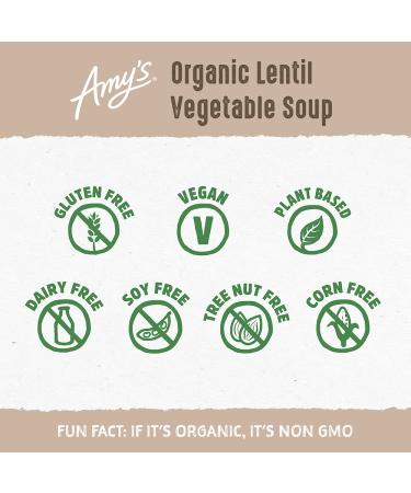 Organic Vegan Gluten-Free Lentil Vegetable Soup - Amy's 14.5 oz (Pack of 12) - Buy Online on GoSupps.com
