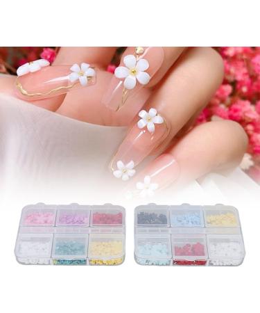 2 Boxes Nail Flowers 3D Nail Rhinestone Flower Flower Nail Charms Resin with 12 Grids DIY Nail Art Decoration Rhinestones Decals for Nail Art Beauty - Buy Online on GoSupps.com