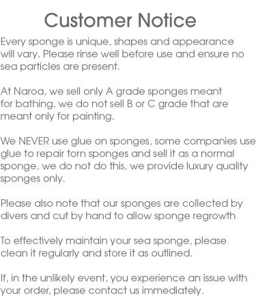 Naroa Natural Back Sponge Scrubber | Long Handle Exfoliating Shower Brush for Improved Skin Health | Detachable Head for Back Acne Relief | Ideal for Men and Women - Buy Online on GoSupps.com