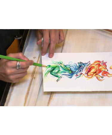 Art Magic Watercolor Pencils Set - 48 Professional Colored Pencils for Adults & Teens - Premium Supplies for Coloring, Blending & Layering - Buy Online on GoSupps.com