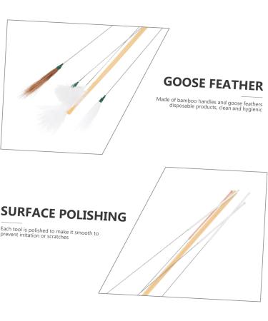 Healeved 2sets Ear Cleaning Tools Professional Ear Wax Removal Kit Needle Goose Chicken Hair for Home Use - Buy Online on GoSupps.com