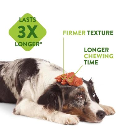 Whimzees by Wellness Veggie-Wurst - Natural Grain-Free Dental Snack for Small Dogs - 28 Count Couch Sticks (2 Pack) - Buy Online on GoSupps.com