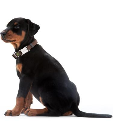 HUNTER Vario Basic Alu-Strong Dog Collar - Durable Nylon Aluminum Snap Fastener Size M Grey - International Shipping Available - Buy Online on GoSupps.com