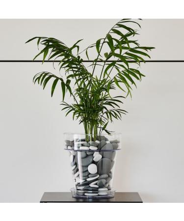 Kalapanta Recycled Plastic Decoration Stones - Eco-Friendly Gray Stones for Vases Aquariums & Gardening ( 2-5 cm 75 Pieces) - Made in Italy - Buy Online on GoSupps.com