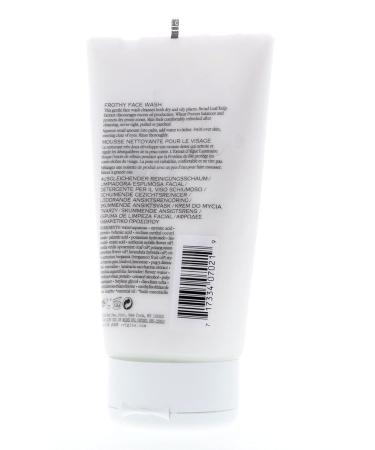 Origins Checks & Balances Frothy Face Wash 150ml - Best International Shipping | Buy Now - Buy Online on GoSupps.com