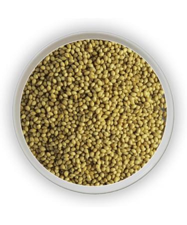 Foxtail Millet Seeds 200g - Buy Online on GoSupps.com