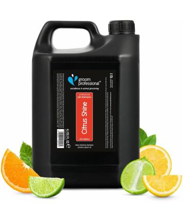 GROOM PROFESSIONAL Citrus Shine Dog Shampoo 4L - Deep Cleansing & Deodorizing Formula with Peach Oil for Greasy Coats - Fresh Citrus Scent - Ideal for Smelly Dogs - Buy Online on GoSupps.com