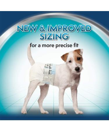 Buy Simple Solution Disposable Dog Diapers for Bitches - Super Absorbent & Spout-Safe Fit - Watine Indicator 12 Pack Extra-Small - Buy Online on GoSupps.com
