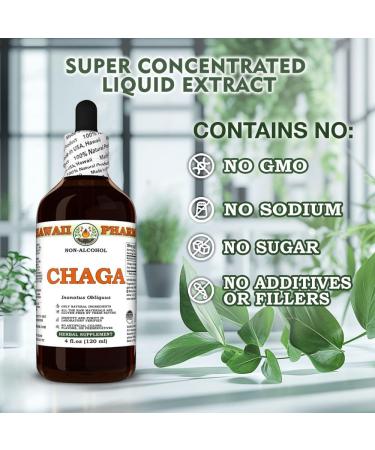 Chaga (Inonotus Obliquus) Dry Whole Mushroom Glycerite Made in Hawaii All Natural Vegan Lab Tested Alcohol-Free Liquid Extract - 4 fl.oz 4 Fl Oz (Pack of 1) - Buy Online on GoSupps.com