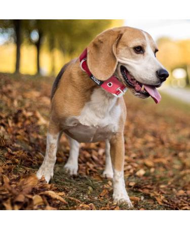 Buy Tspro Tactical Dog Collar - Military Quality 3.3cm Wide Adjustable S Size (35.5-43cm) Strong Red Dog Collar with Robust Metal Buckle - Buy Online on GoSupps.com