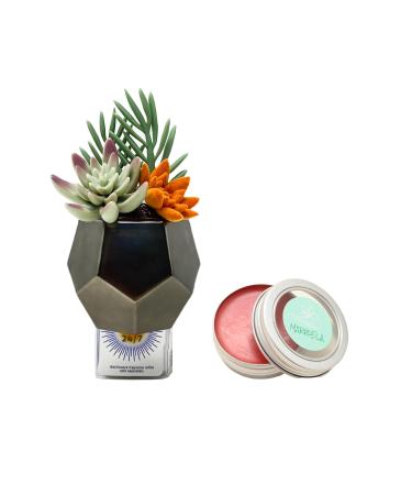 Bath & Body Works Plug Geo Succulent Nightlight Wallflowers Fragrance Plug and a Strawberry Lip Balm.